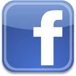 icone facebook