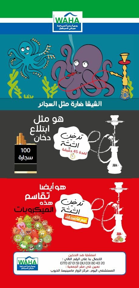 Flyer1 ar